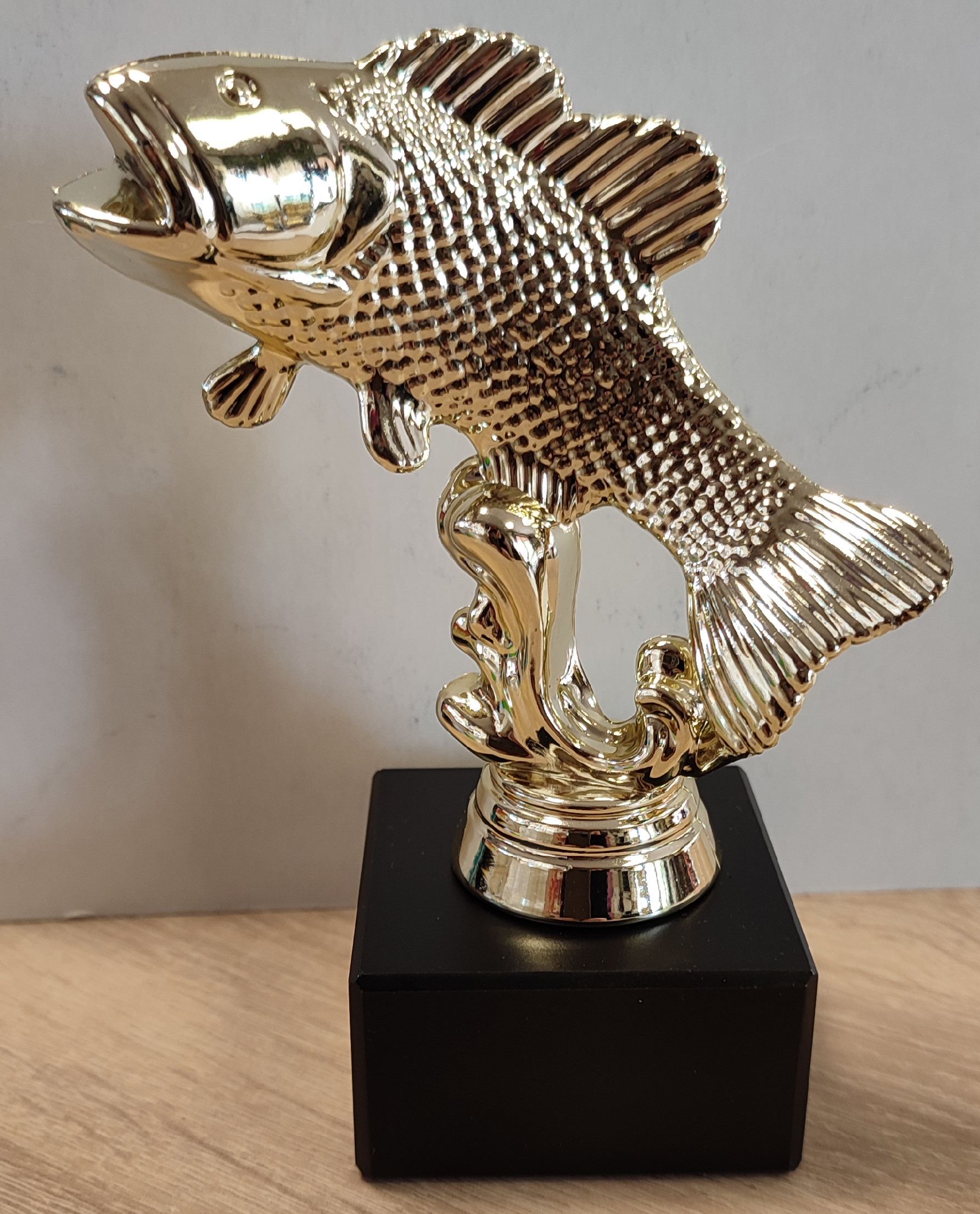 Trofej RYBA 13cm