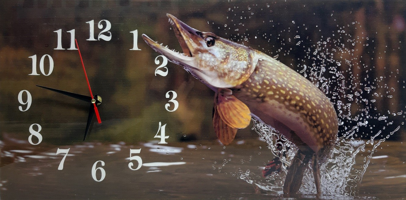 Nástenné hodin  Šťuka 60x30cm