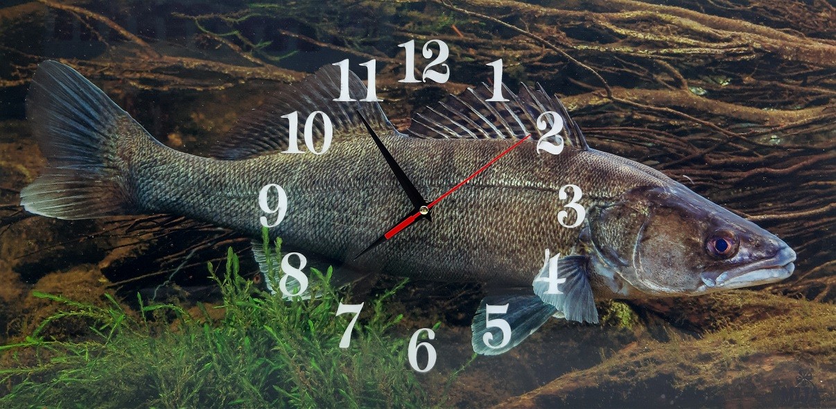 Nástenné hodiny  Zubáč 60x30