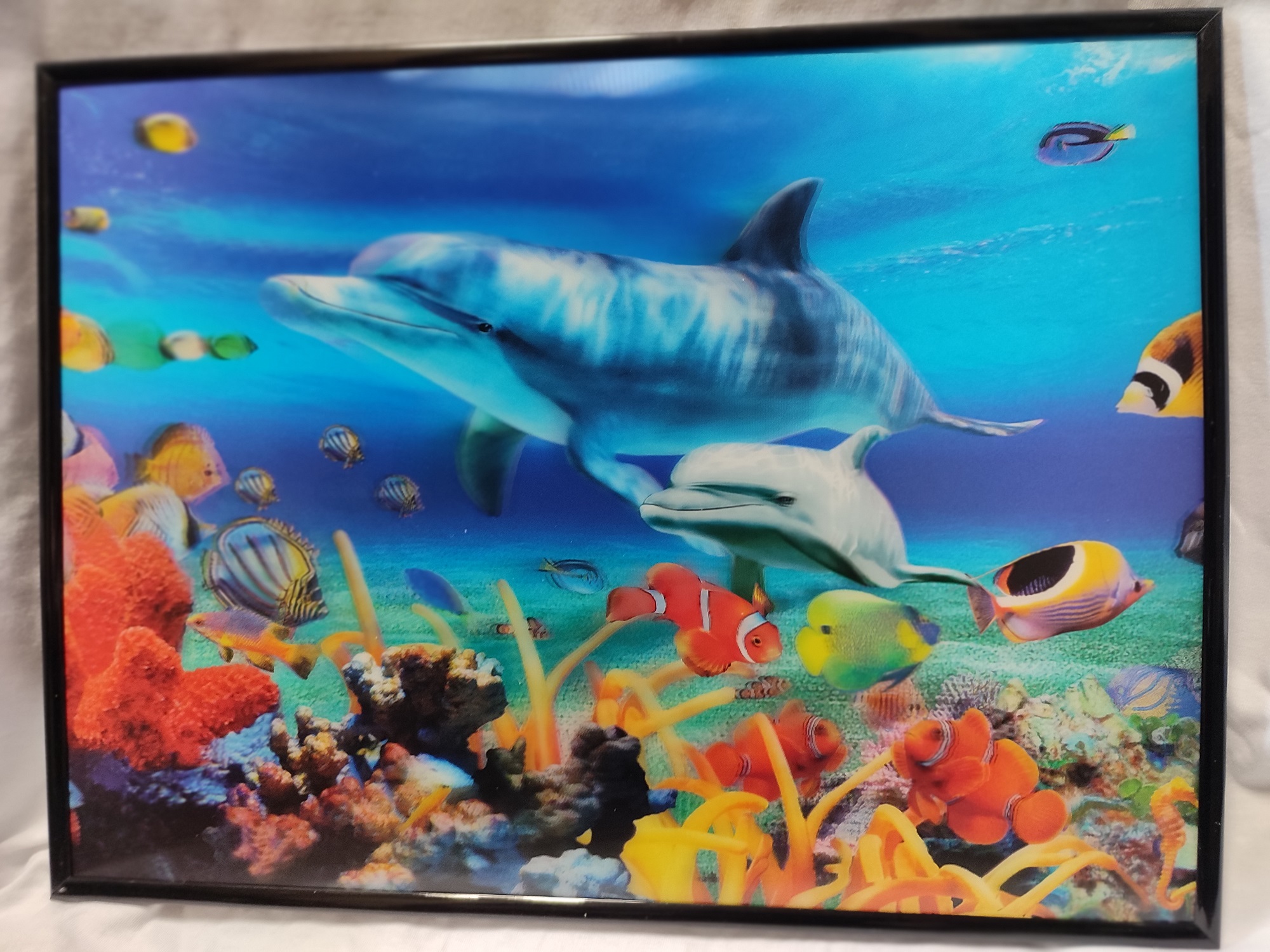5D obraz Podmorský svet  29/39cm