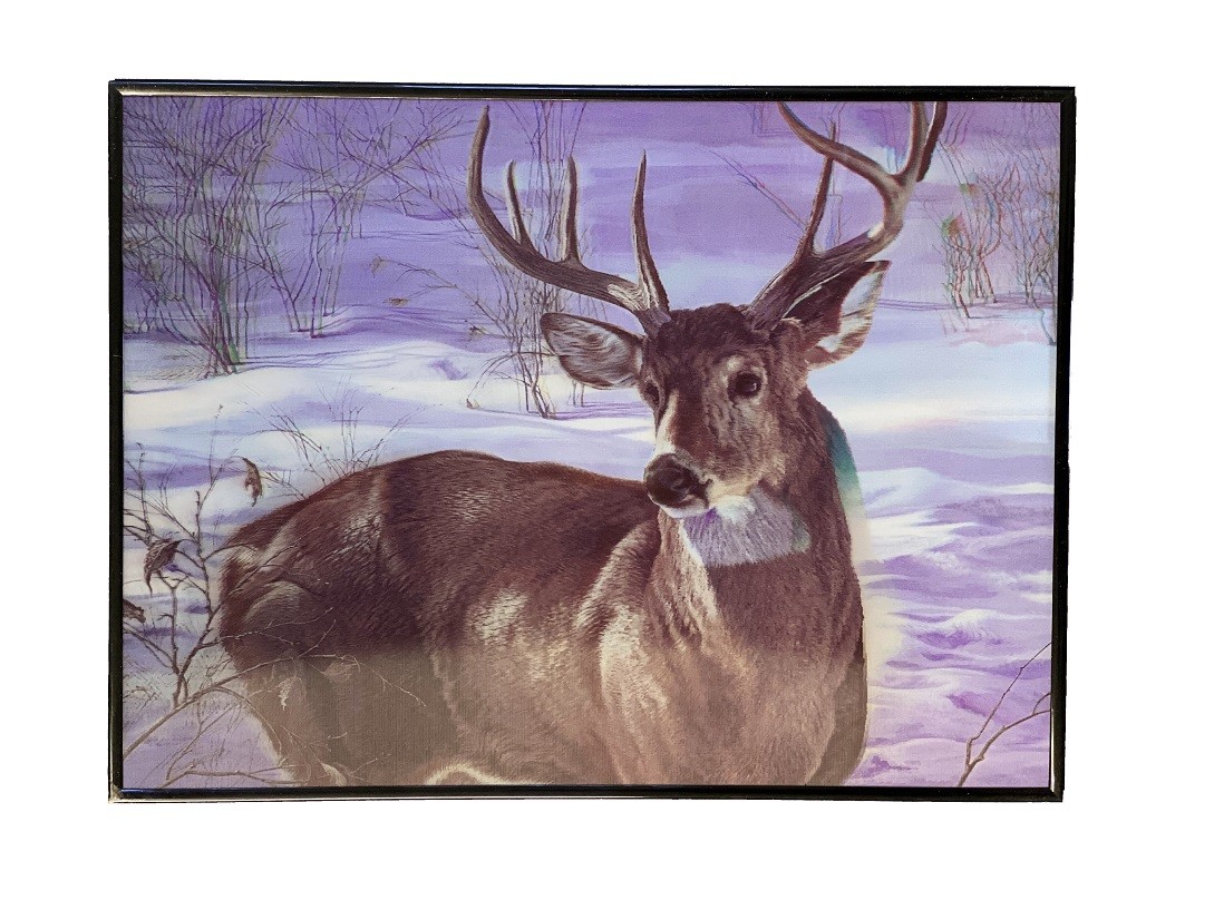 5D obraz Jeleň v zime 29/39cm