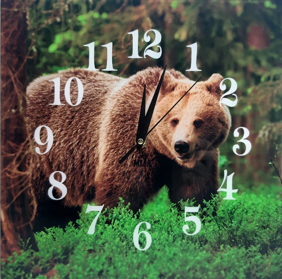 Nástenné hodiny  Medveď2 30x30cm
