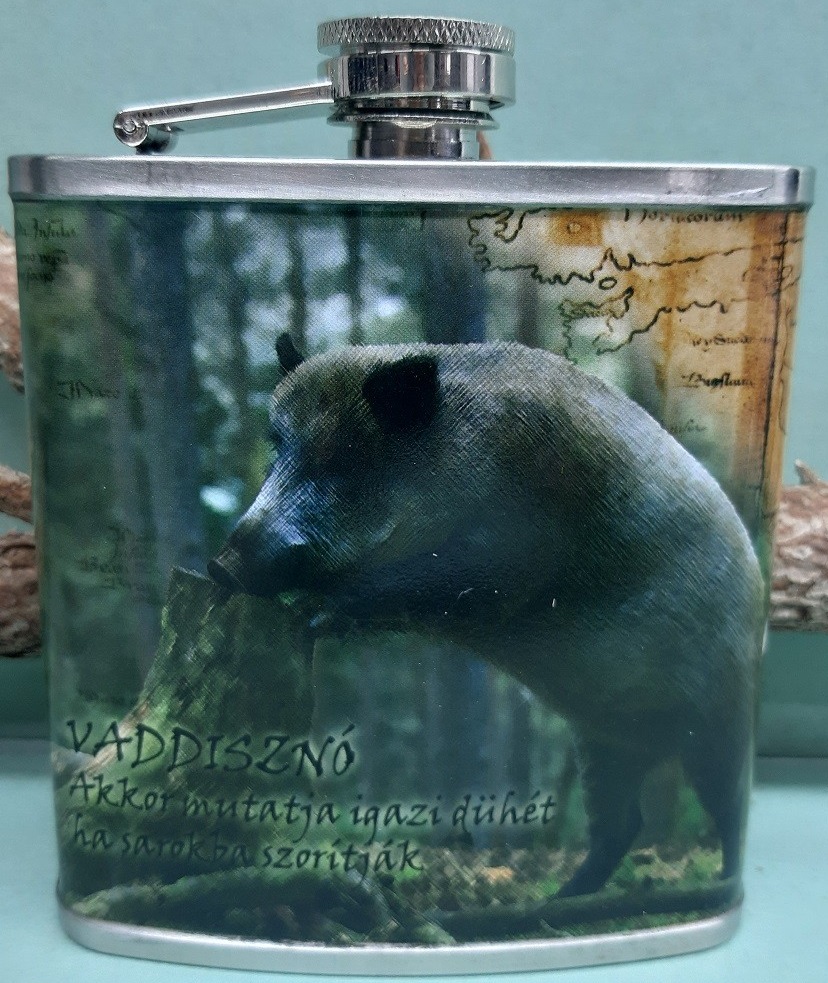 Ploskačka Diviak mapa