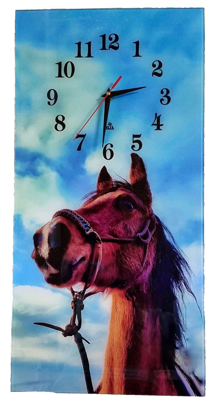 Nástenné hodiny Kôň 30x60cm