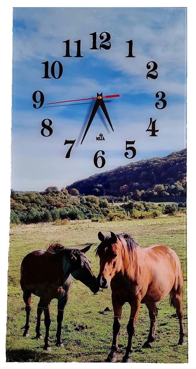 Nástenné hodiny Kone 30x60cm